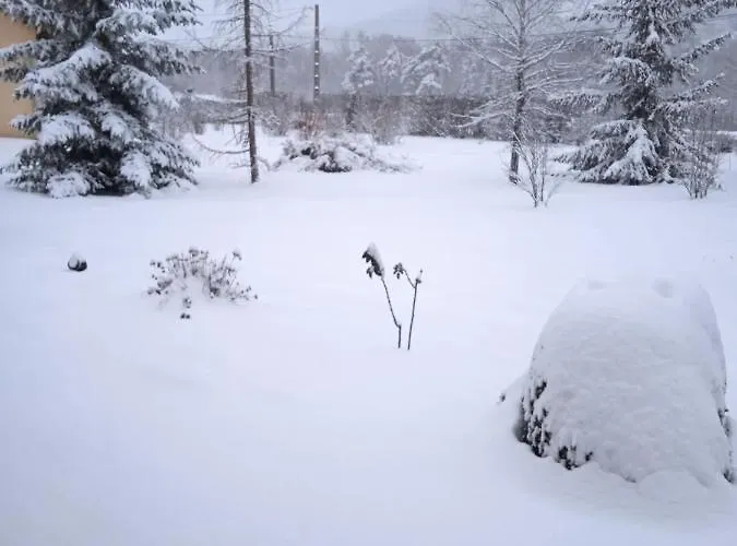 Charlotte Et Jean Selonnet